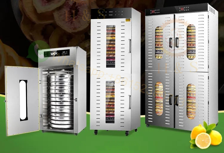 Home Use Electric Food Dehydra - Dehydrator Tray Electric ulasan dan harga